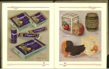 Illustrated Product Brochure Chocolate Apple & Orange